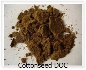 Cottonseed De Oiled Cake - 48% Protein, Nutrient-Rich Residual Cake for Food Processing