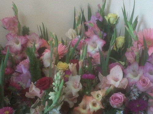 Flowers And Floral Arrangements