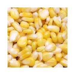 High Quality Frozen Sweet Corn