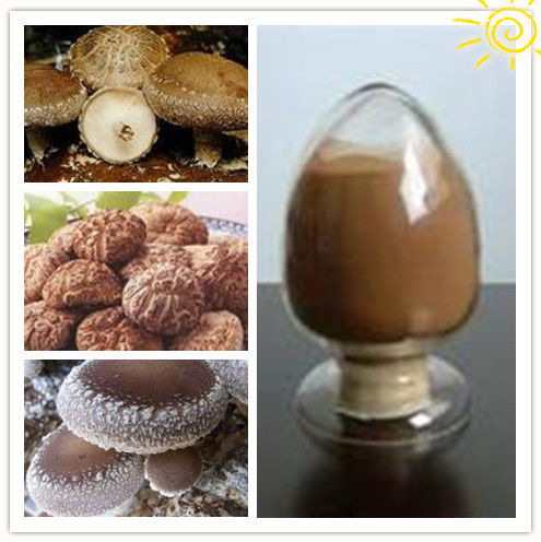 Natural Shiitake Mushroom Extract