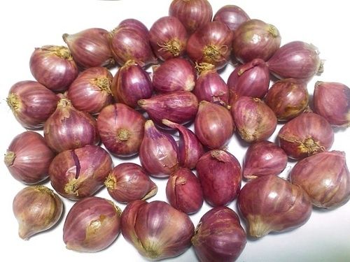 Fresh Red Onion