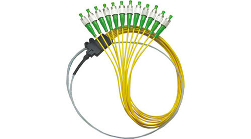 Ribbon Fan-Out Optic Fiber Pigtail