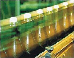 Slat Conveyor (Bottle Conveyors)