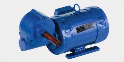 Fhp Vertical Gear Motor