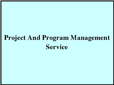 Project And Program Management Service