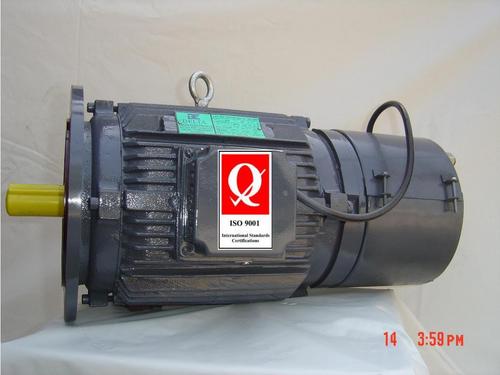 Flange Type Brake Motor 