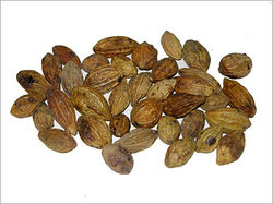 Kadukkai Seeds