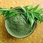 Dehydrated Curry Leaves Vegetable Powder