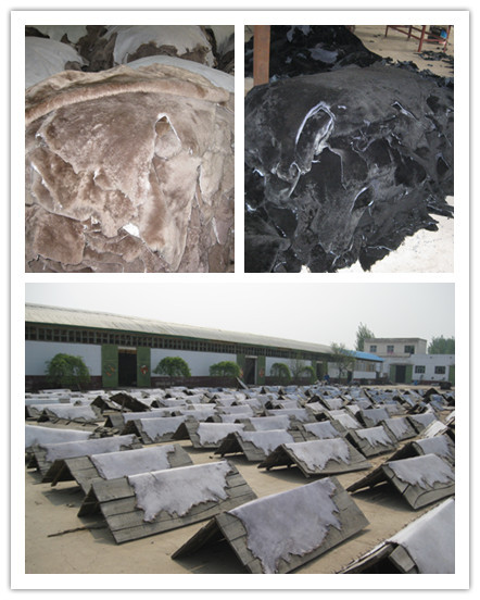 Sheep Skin And Hide With Fur By Hebei Grace Industrial Co., Ltd.