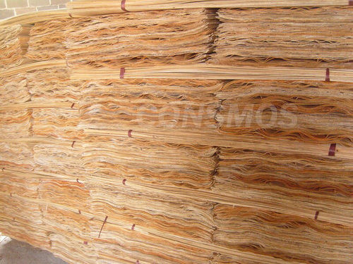 Eucalyptus Core Veneer