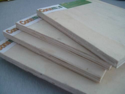 Poplar Plywood