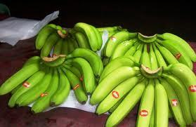 Cavandish Banana