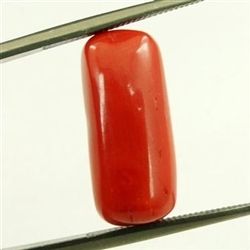 Natural Red Coral Gemstone - 7.00ct AAA Quality, Certified Cylinder Shape with Free Authenticity Certificate