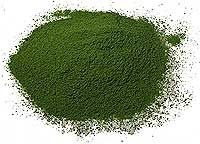 Wheatgrass Powder