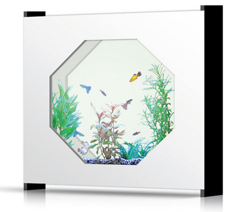 AquaCombi Hexa 60 - White Aquarium