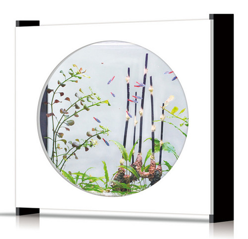 AquaCombi Stellar 60-White Aquarium