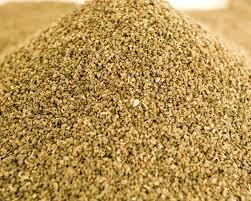 Celery Seed Oil