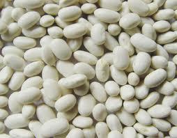 Beans Extract (Phaseolus Vulgaris)