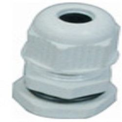 Cable Gland 