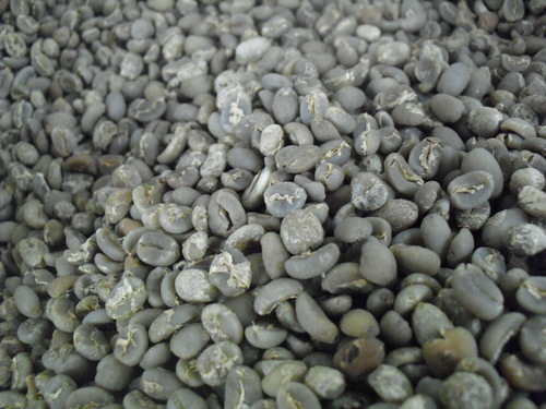 Grade 1 Arabica Coffee Beans