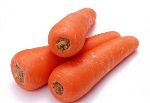 Fresh Carrot