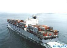 Professional Shipping Services By Neptune Logistics Co., Ltd.