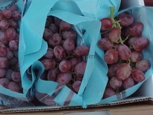 Red King Ruby Seedless Grapes