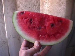 Watermelons