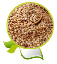 Brown Sesame Seeds