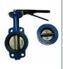 Butterfly Valve