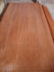 MLH Veneer