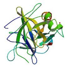 Alpha Chymotrypsin
