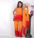 Ladies Designer Salwar Kameez