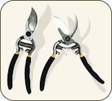 Drop Forged Pruning Shears