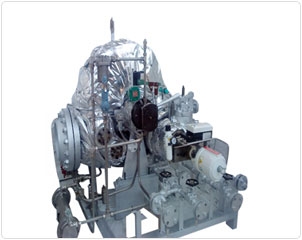 टर्बाइन DYR और DYRH