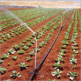 Agricultural Sprinklers