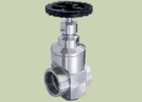 S.S. Gate Valve Screwed End / Flanged End 