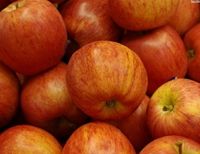 Newzealand Royal Gala Apples