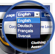 Multi Lingual Designing Services