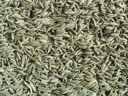 Cumin Oil