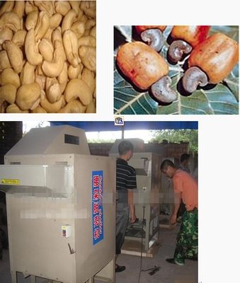 Cashew Shelling Machine