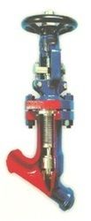 Y Type Bellow Sealed Globe Valve