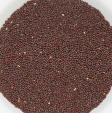 Mustard Seeds