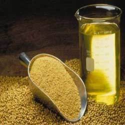 Crude Soyabean Oil