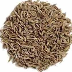 Cumin Seeds (Jeera)