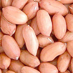 Groundnuts