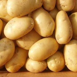 Organic Potatoes