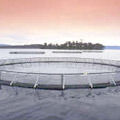 Aquaculture Nets - High-Quality Knotted & Knotless PE Twisted Salmon/Tuna Cages | Hexagonal Design, Bird Protection Netting