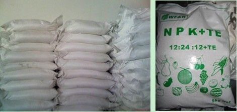 NPK Compound Fertilizer