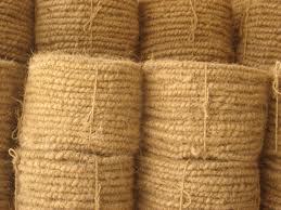 Coir Ropes